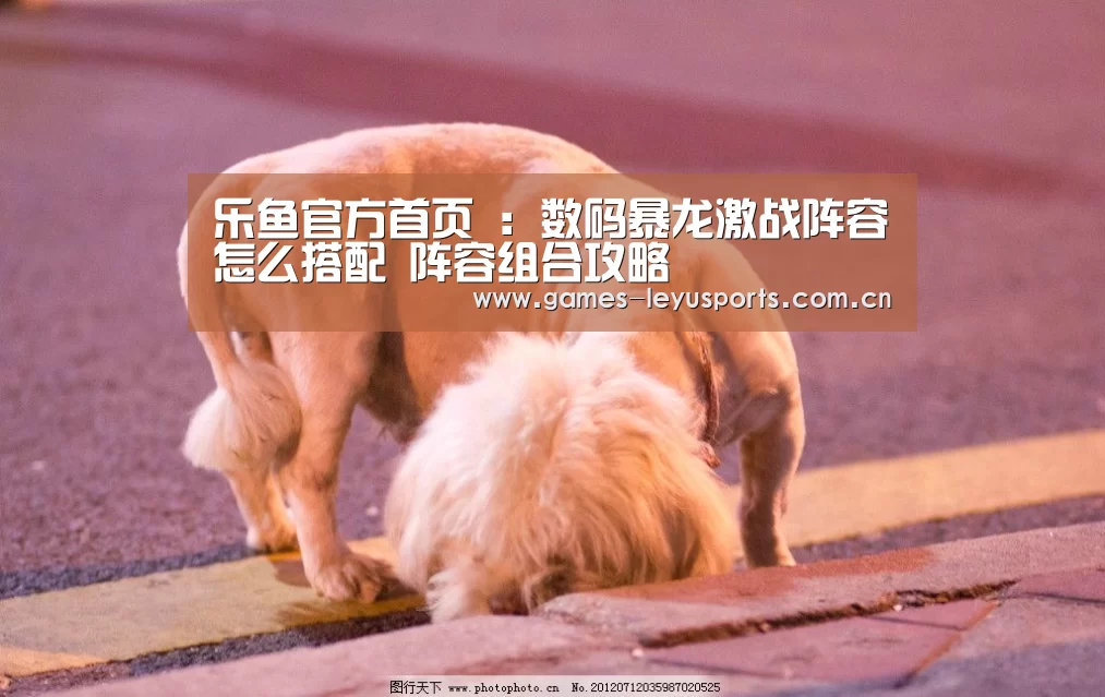 乐鱼官方首页 :数码暴龙激战阵容怎么搭配 阵容组合攻略(图1) 登录入口