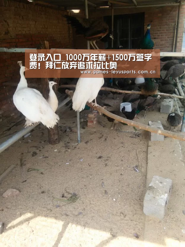 登录入口_1000万年薪+1500万签字费!拜仁放弃追求拉比奥(图1) 乐鱼官方首页