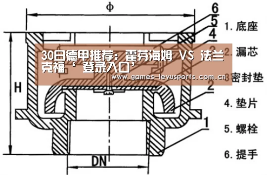 30日德甲推荐:霍芬海姆 VS 法兰克福‘ 登录入口’(图1) leyu官网