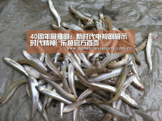 40周年展播剧:新时代电视剧展示时代精神| 乐鱼官方首页 (图1) 乐鱼官方首页